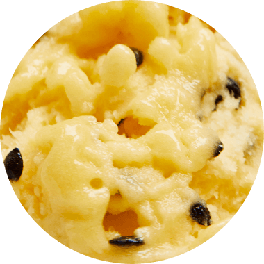 index-gelatoflavor-01